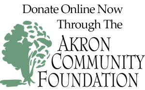 AkronCommunityFoundation_Donate Online