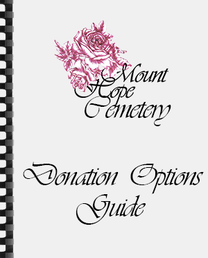 Donation Options Guide